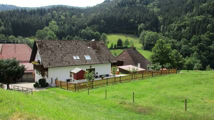 Ferienwohnung für 6 Personen in Elzach, Hochschwarzwald, Bild 4