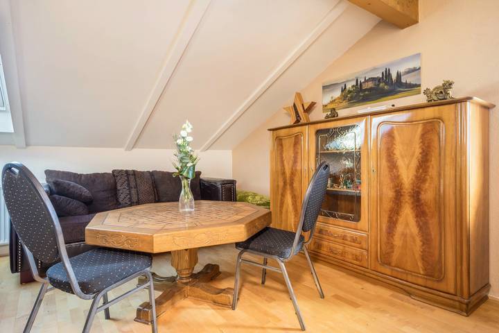 Ganze Wohnung, Luxuriöses Penthouse-Apartment in Bodenseenähe mit Garten und Wlan in Höchst, Bodensee-Vorarlberg