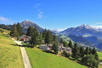 Bungalow voor 6 Personen in Leysin, Vaud (kanton), Afbeelding 3