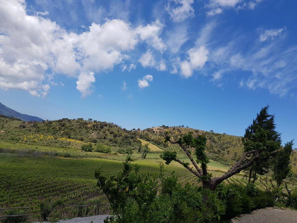 Antica Tindari in Patti, Province de Messina