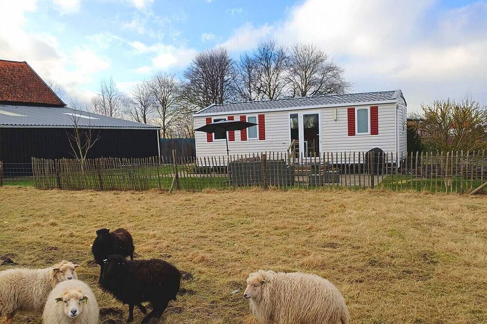 Camping Hofstede Zonnevliet - Zeeuwse Knoop in Zonnemaire, Zeeuwse Kust