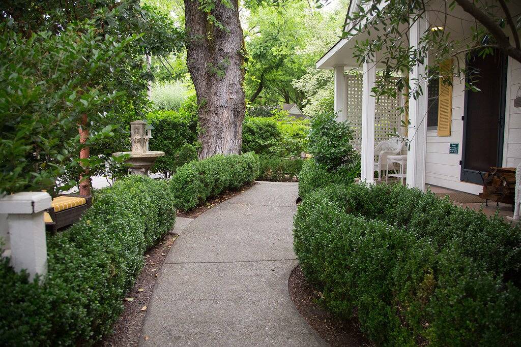 Escape to Wine Country in your independant Cottage in Downtown Calistoga in Calistoga, Napa Valley