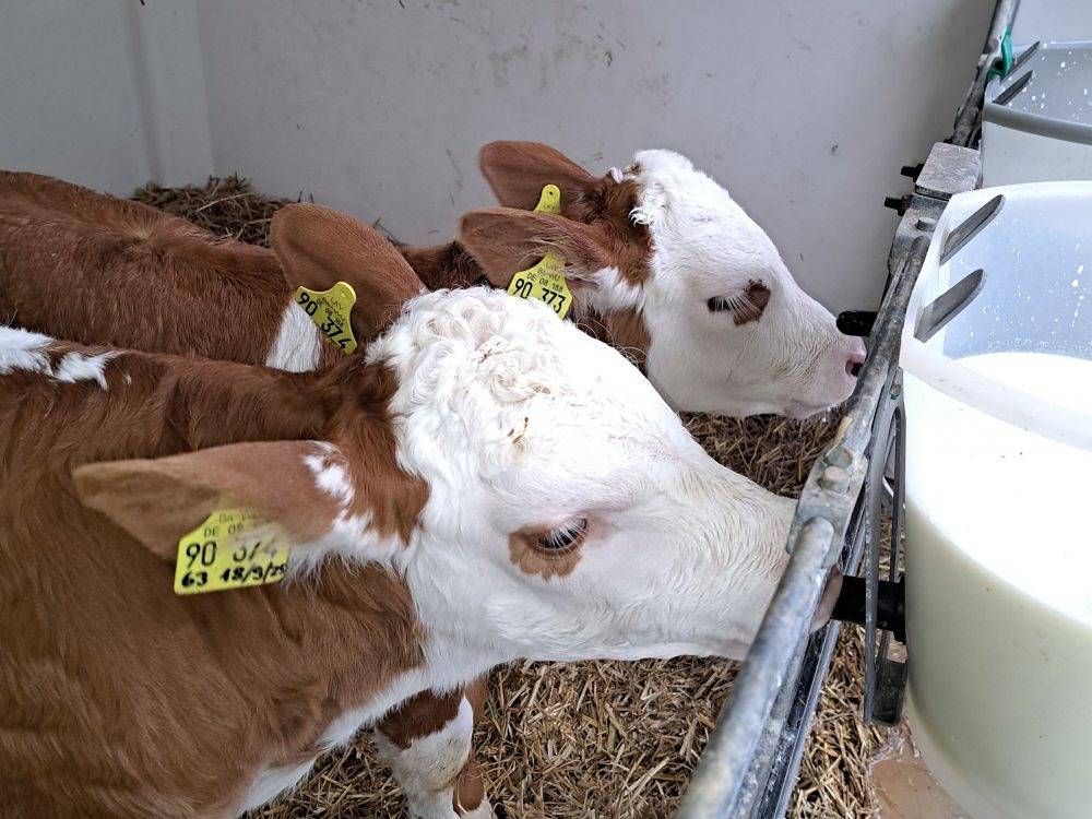 Bauernhof Bohner - Hofblick in Stockach, Landkreis Konstanz