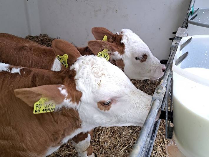 Bauernhof für 4 Personen, mit Garten am Bodensee