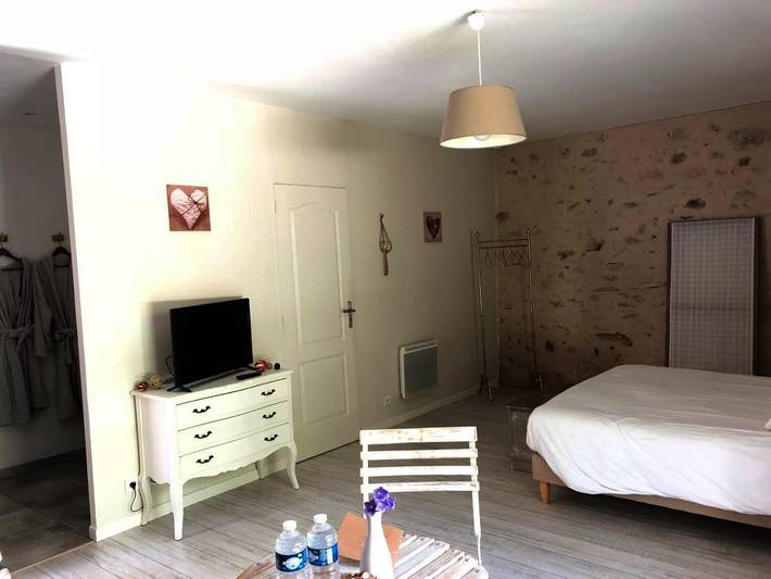 Chambre d’hôte pour 3 personnes, avec jardin et sauna ainsi que jacuzzi et piscine en Indre-et-Loire - 3