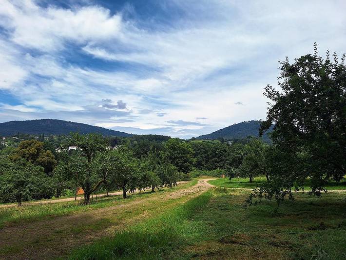 Chambre d’hôte pour 2 personnes, avec vue et jardin à Baden-Baden - 2