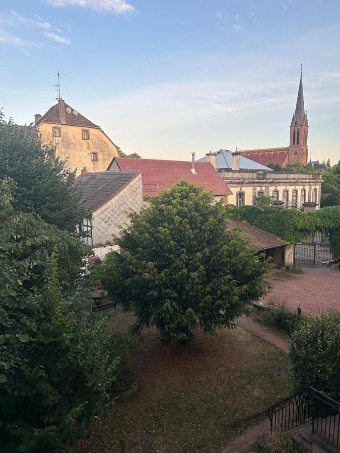 Appartement entier, Le belvédère au cœur de Saverne in Saverne, Région de Saverne