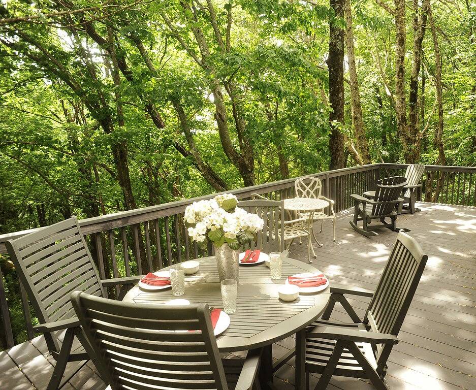 Cool 4800 ft. Sleeps 8 Plus Sofa in Blue Ridge Parkway, Blowing Rock