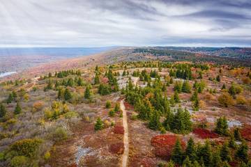 Log Cabin for 8 Guests in Canaan Valley, Tucker County, Picture 4