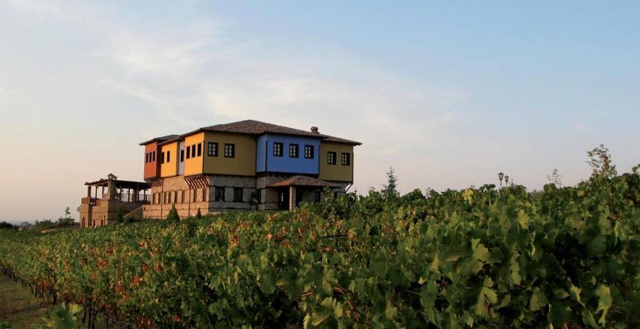Hôtel pour 5 personnes, avec Terrasse et Jacuzzi ainsi que Jardin et Vue dans Vergina