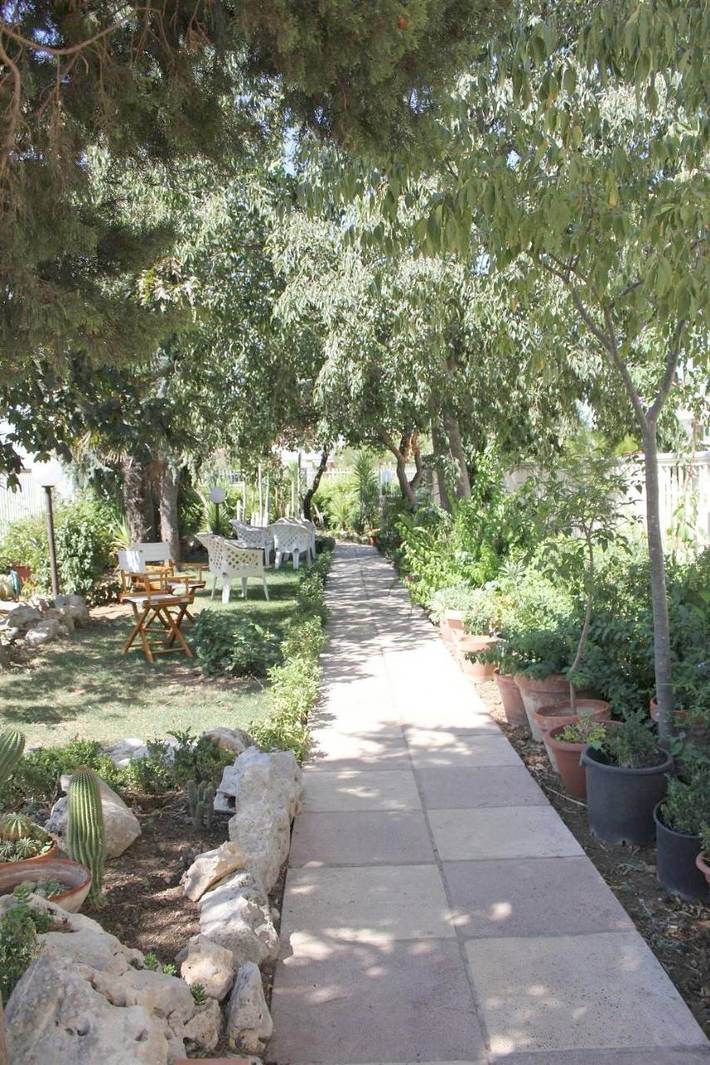 Bed and breakfast per 4 persone, con giardino e terrazza, con animali domestici - 1