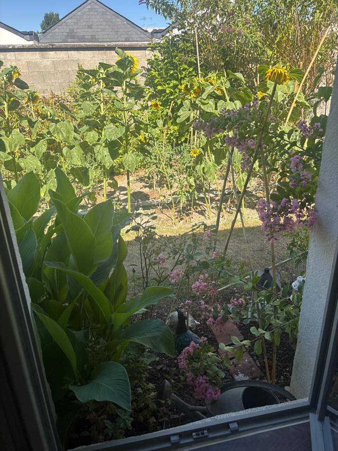 Maison d’hôte pour 2 personnes, avec Jardin à Loches - 2