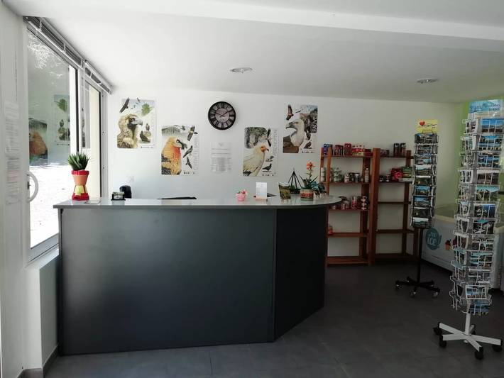 Camping für 4 Personen, mit Pool und Terrasse, mit Haustier in Midi-Pyrenäen - 4