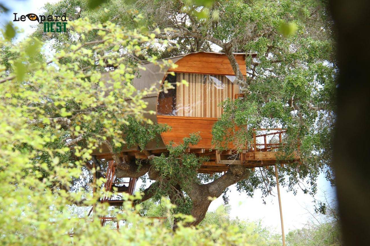 Leopard Nest - Glamping in Yala in Southern Province