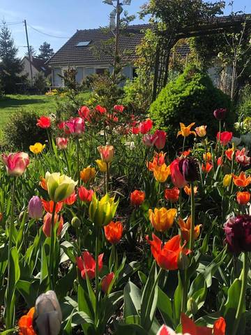 Gîte pour 3 personnes, avec sauna et jardin ainsi que vue et terrasse à Bois-Jérôme-Saint-Ouen