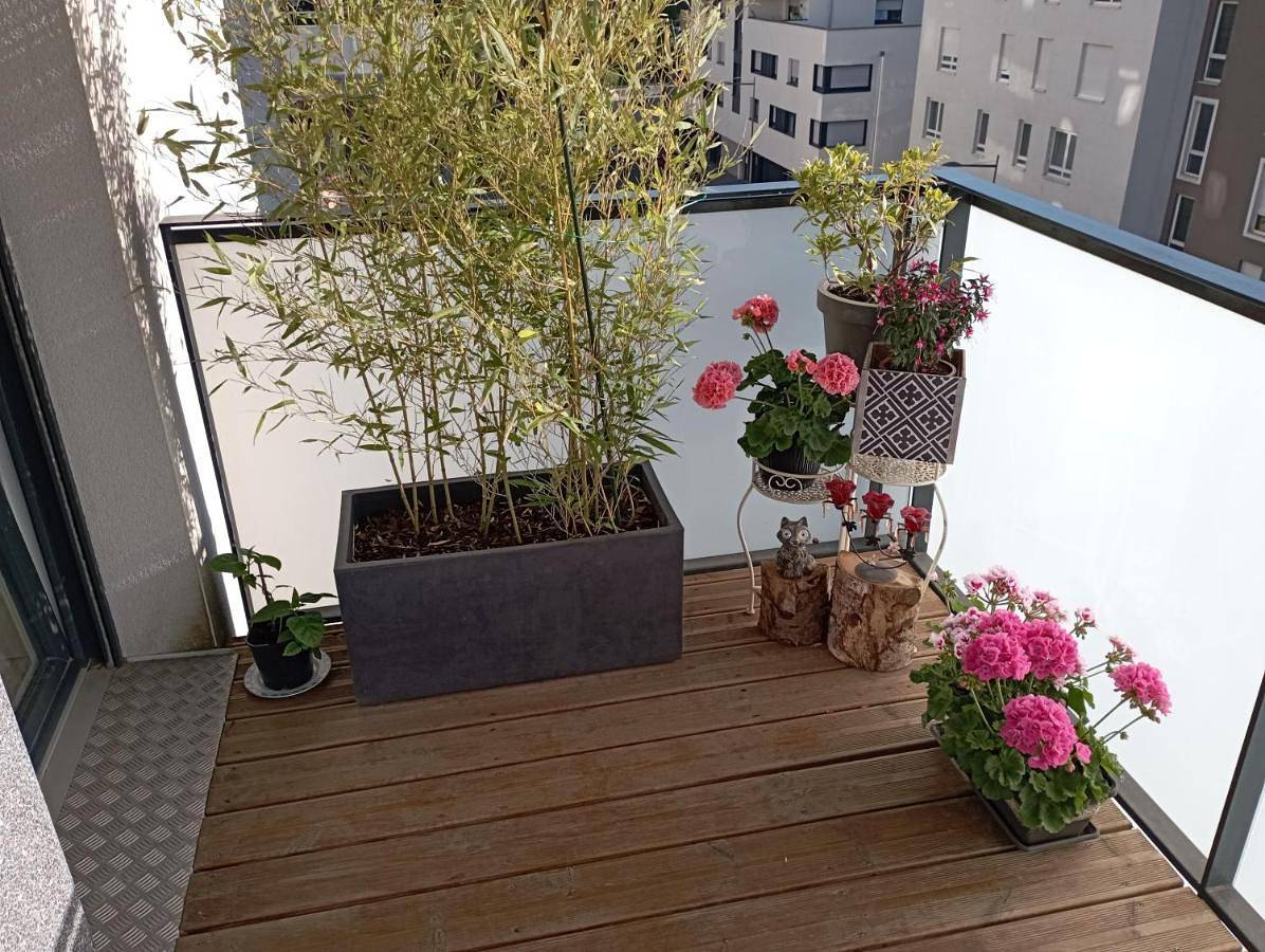 Appartement de vacances entier, Chambre nature chez l'habitant in Lingolsheim, Région de Strasbourg