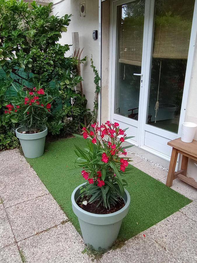 Gîte pour 2 personnes, avec terrasse, animaux acceptés dans Plage Riva-Bella - 2