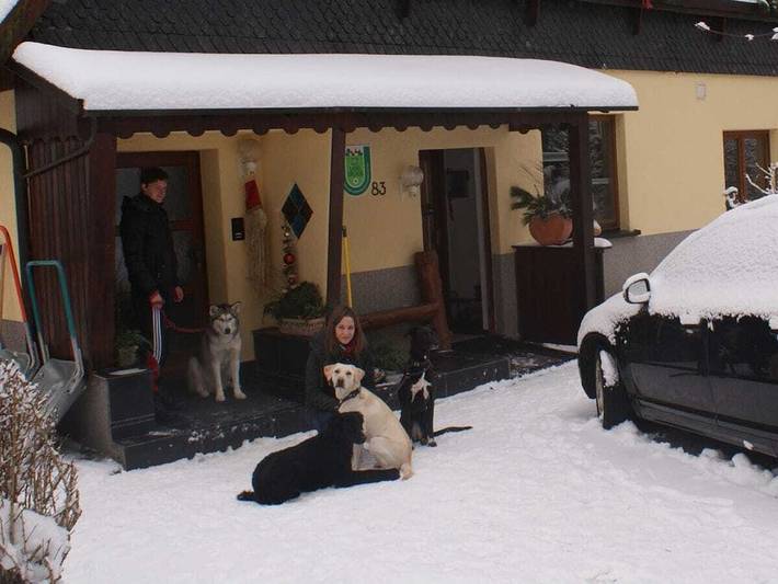 Ferienhaus für 10 Personen, mit Sauna und Balkon - 1