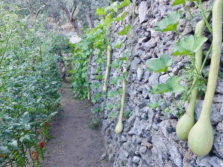 Location de vacances pour 3 personnes, avec jardin et terrasse à Castiglione - 3