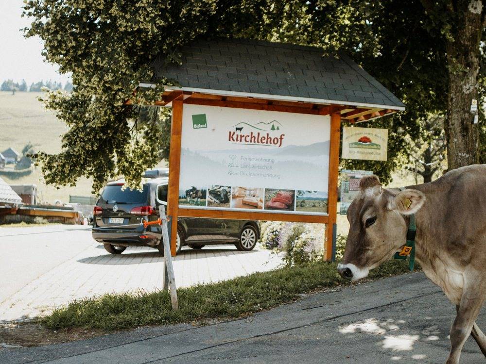 Kirchlehof - Schauinslandblick in Hofsgrund, Oberried