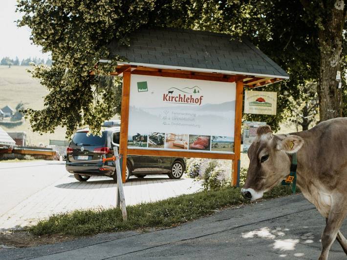 Ferme pour 6 personnes, avec balcon et balcon/terrasse à Oberried - 3