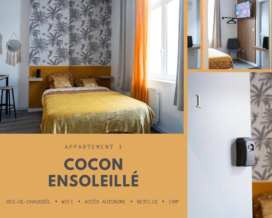 Appartement entier, Citizenhouse Anzin - 4 Studios - 15 à 36m2 - Jardin - Terrasse - Accès autonome - Wifi - Netflix in Anzin, Région de Valenciennes