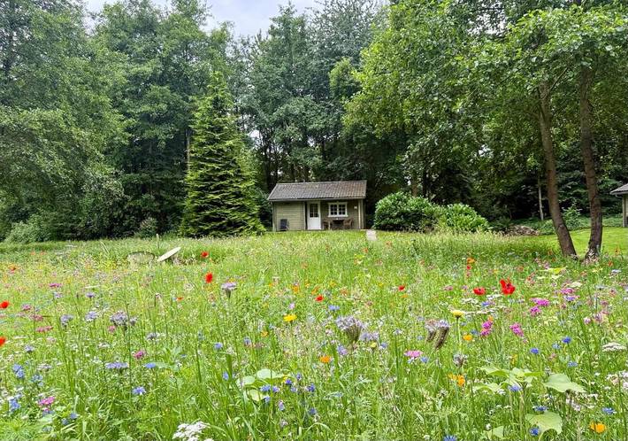 Chalet voor 2 personen, with Terras and Tuin as well as Sauna and Uitzicht in Appelscha