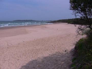 Blockhütte für 4 Personen in New South Wales, Bild 2