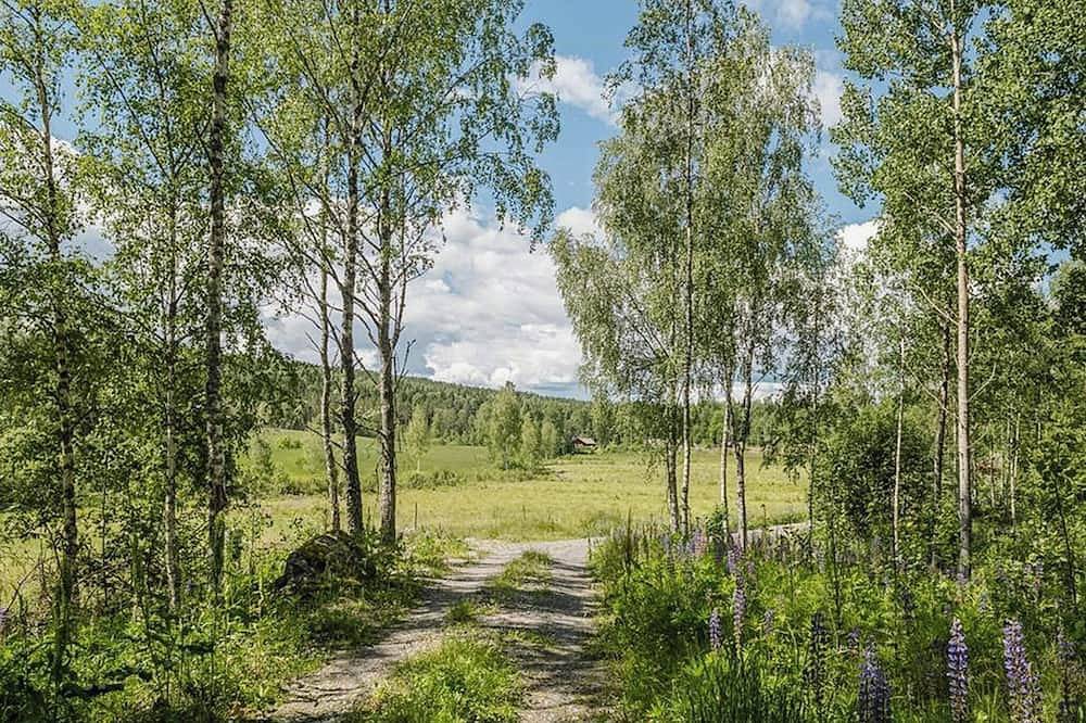 Minimalistisches Haus mit Waldblick in Värmland