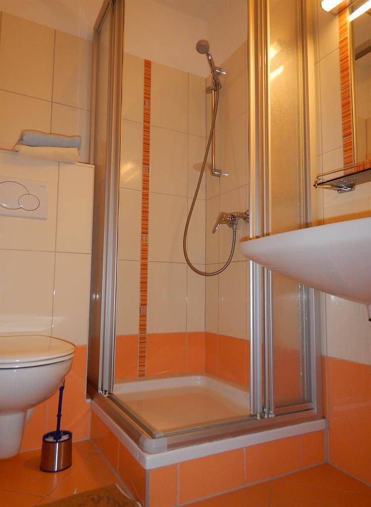 Entire holiday apartment, Ferienwohnungen Rojer in Irdning, Enns valley