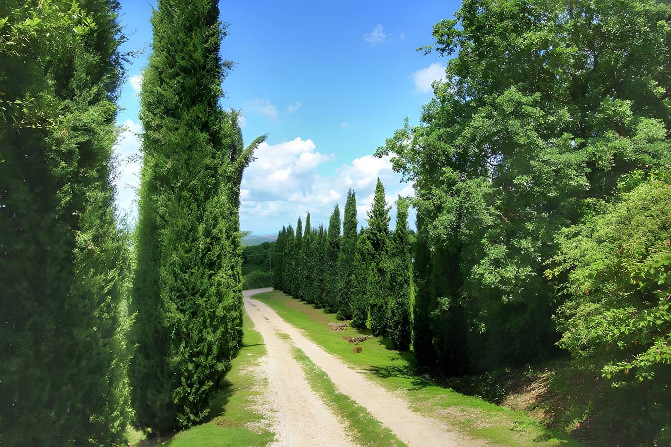 Ganze Wohnung, Apartment „Podere Il Tigliolo Sulla“ mit Gemeinschaftspool, privater Terrasse und Wlan in Castiglione d'Orcia und Umgebung, Orciatal