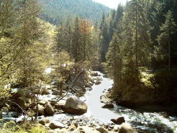Ferienwohnung für 6 Personen in Langelsheim, Westharz, Bild 1
