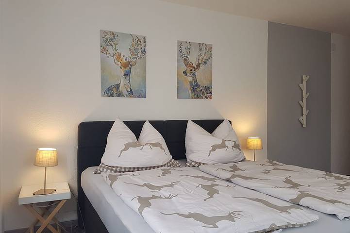 Ganze Wohnung, Modernes Appartement für 4 bis 6 Personen mit Terrasse & schönem Südblick ! in Hohe Tauern, Flattach