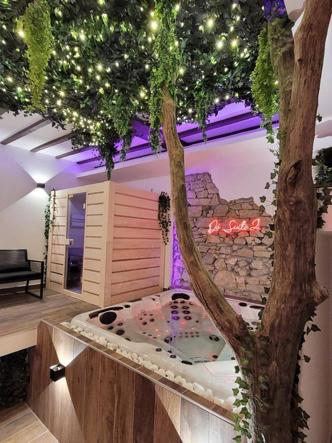 Grenoble La Suite 2 spa jaccuzzi et sauna privatif in Grenoble, Isère
