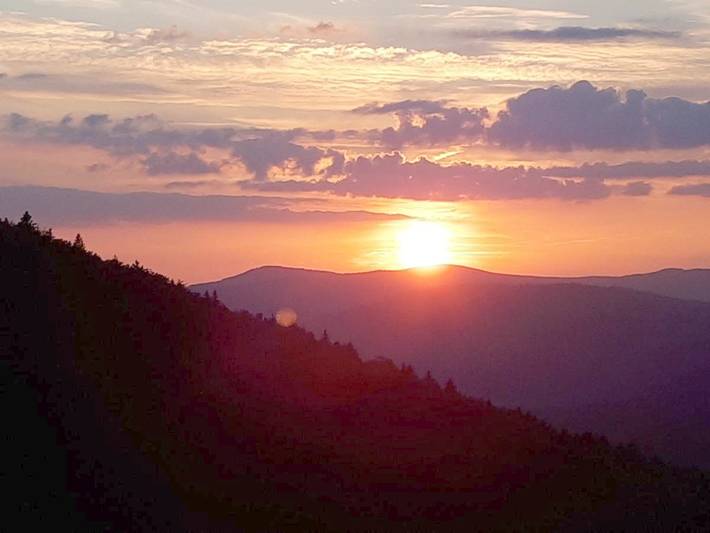 Ferienwohnung für 4 Personen, mit Garten und Ausblick, mit Haustier in Schöfweg - 2