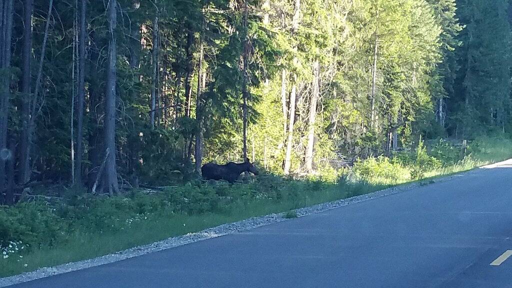 Am See Hütte in Cavanaugh Bay of Beautiful Priest Lake in Kaniksu Nationalwald