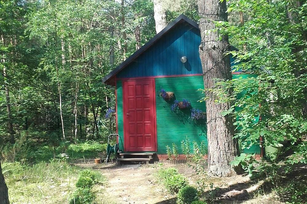 Wilga: country house in the heart of the forest in the south-east of Warsaw in Masovia