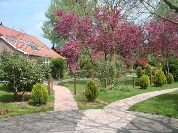 Vakantiehuis voor 17 Personen in Provincie Groningen, Nederland, Afbeelding 4