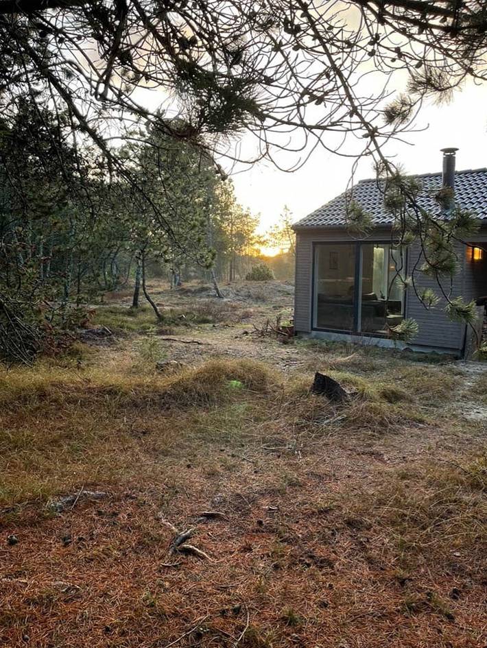 Ferienhaus für 8 Personen, mit Garten und Sauna, mit Haustier in Nordostjütland - 2