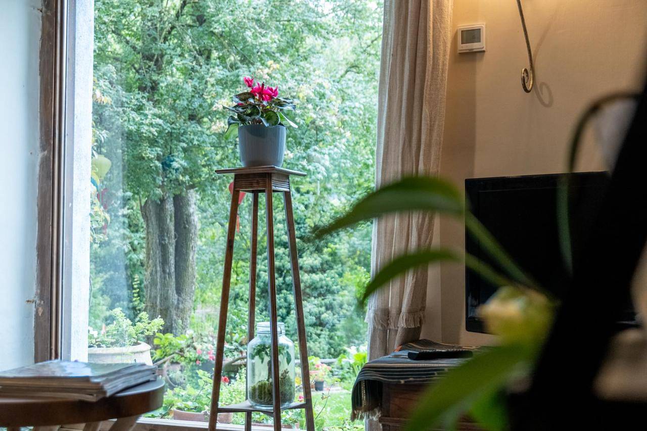 Casa María Berna in Sarvisé, Pirineos