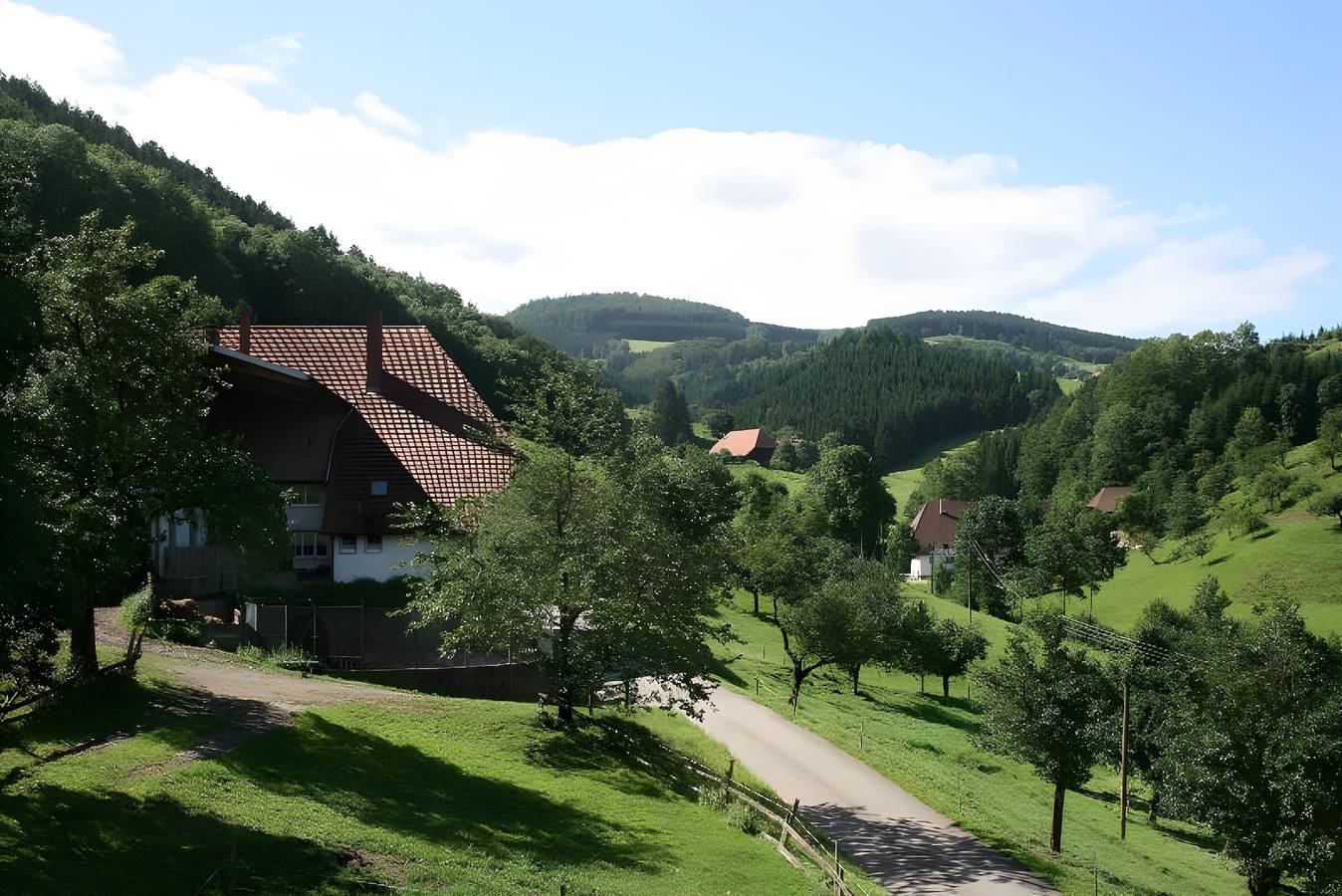 Ganze Wohnung, Ferienwohnung 'Bergblick' mit privatem Balkon in Mühlenbach, Mittlerer Schwarzwald