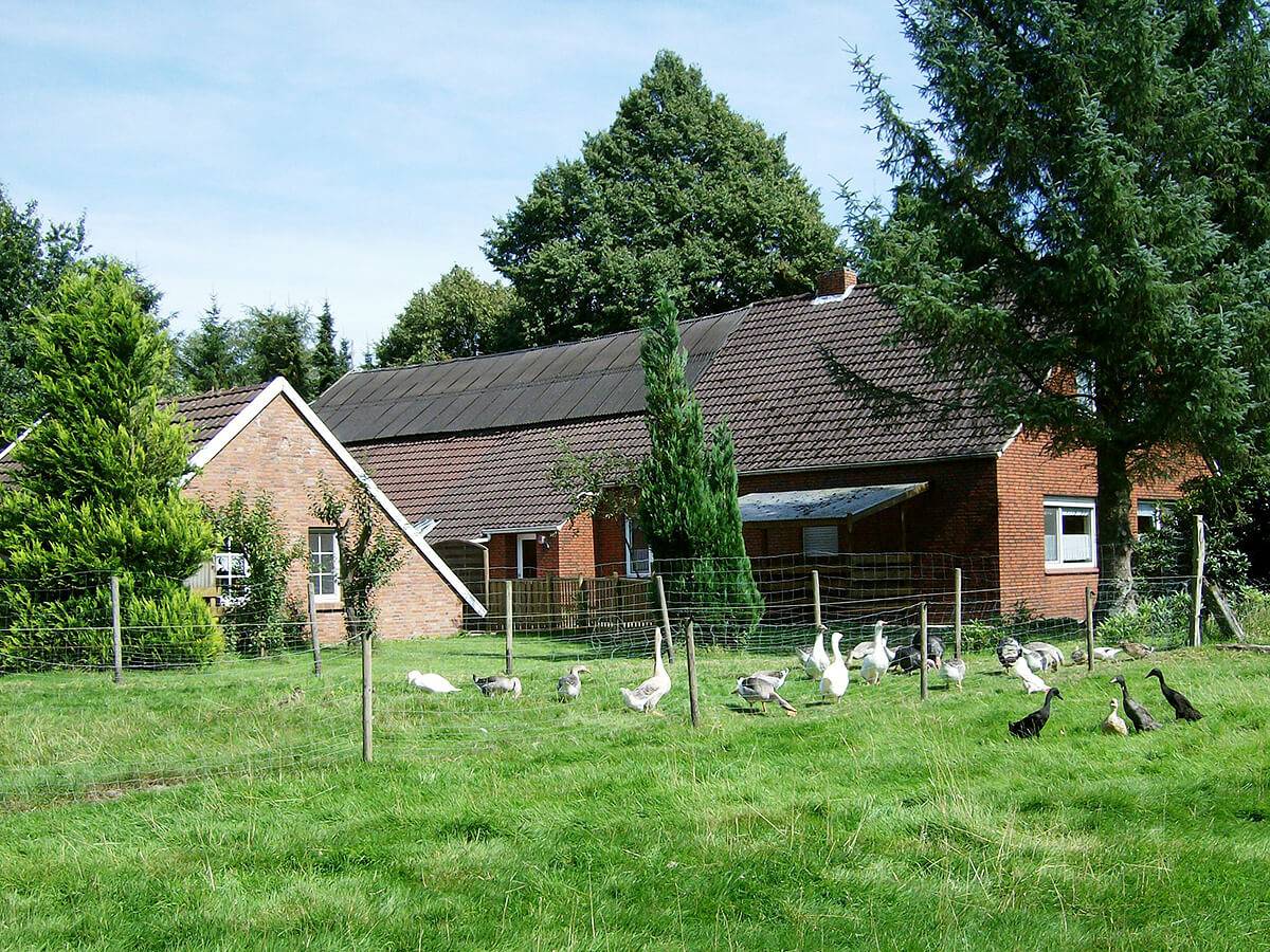 Ferien auf dem Lande - Gerta Hagedorn - Ferienwohnung Pferdestall in Brinkum, Nordseeküste