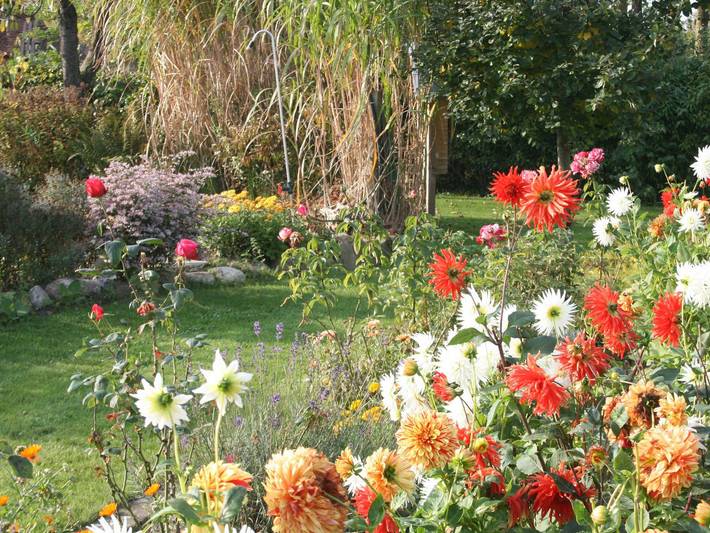 Ferienwohnung für 5 Personen, mit Terrasse und Garten in Blowatz - 3