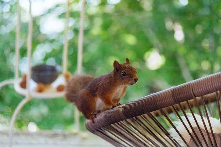 Ferienwohnung für 2 Personen, mit Ausblick und Garten sowie Balkon in Jondal - 2