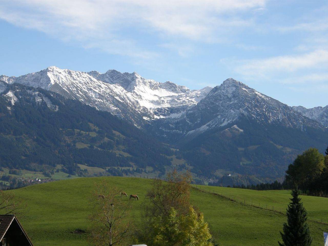 Ganze Ferienwohnung, Alpenflora Ferienwohnungen - Ferienwohnung Vergissmeinnicht mit Balkon in Ofterschwang, Bayerisch Schwaben