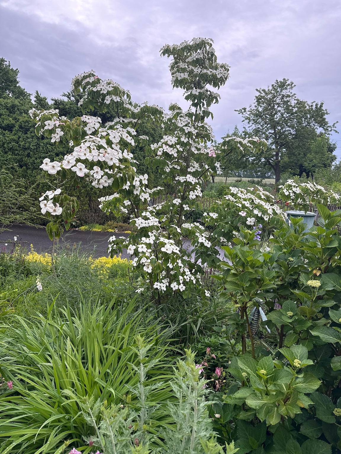 Ferienwohnung Kräutergarten - Ferienwohnung, 1-2 Pers., 53 qm in Greven, Münsterland