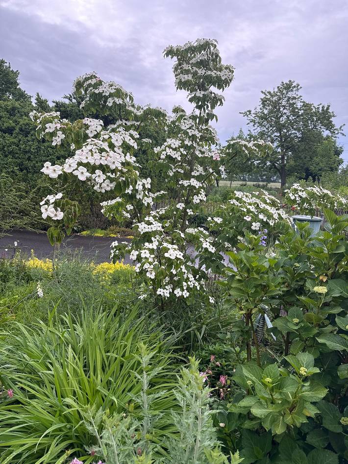 Ferienhaus für 2 Personen, mit Terrasse im Münsterland - 3