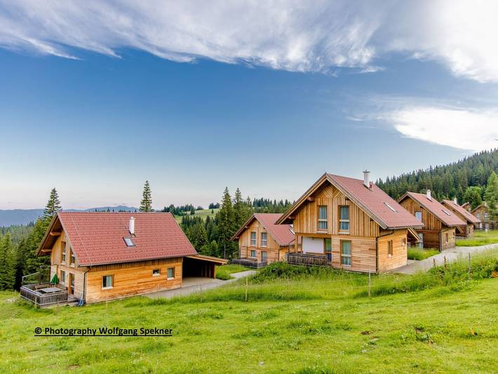 Ferienhaus für 6 Personen, mit Sauna und Terrasse, mit Haustier in Kärnten - 2