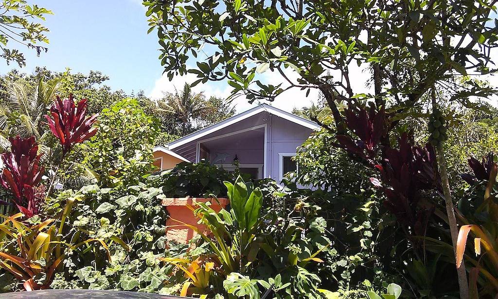 Dolphin Cottage mit Ac @ Kehena Beach, Hawaii in Kehena Beach, Kehena