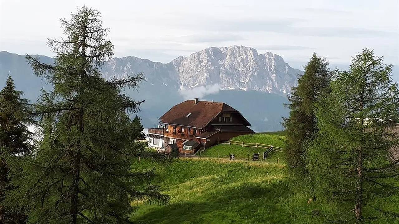 Ganze Ferienwohnung, Ferienwohnung für 8 Personen (80 m²) in Berg im Drautal in Kreuzeckgruppe, Berg im Drautal